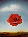 DALI' SALVADOR (1904-1989) - Salvador Dali - Meditative Rose